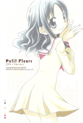 HeartCatch PreCure! - Petit Fleurs (Doujinshi)